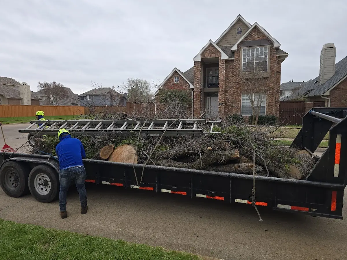 Expert Crown Reduction with proper safety equipment in Mount Ayr